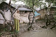 Sundarbans Bangladesch