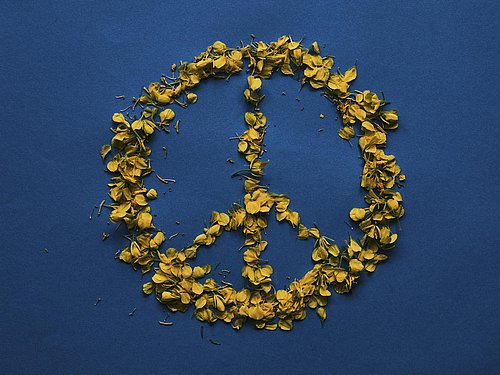 Das bild zeigt gelbe Blütenblätter, die in Form des Peace-Symbols auf einem blauen Untergrund gelegt sind.